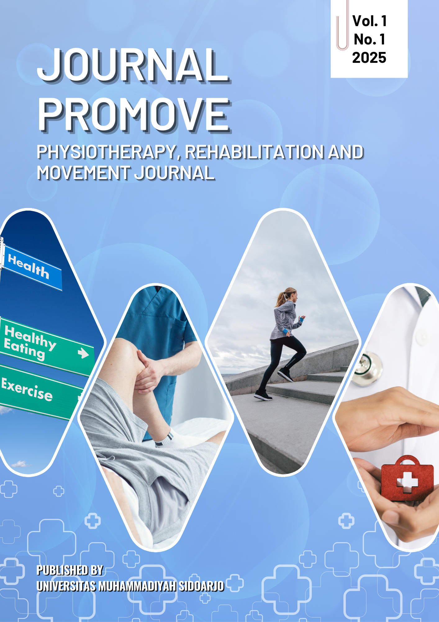 					View Vol. 1 No. 01 (2025): .
				